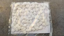 Cotton Wicks Round
