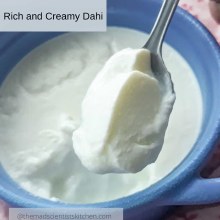 Desi Curd-yogurt Homestyle