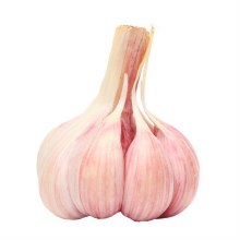 Desi Garlic Pink By Weight