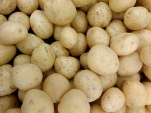 Baby Potatoes - Dum Alu 1.5lb