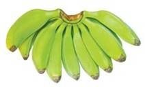 Green rulo banana per Piece