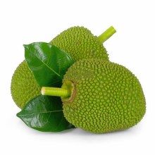 Green Jackfruit Baby
