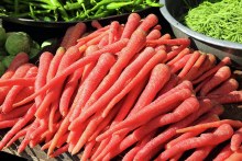 Desi Indian Red Carrots Sold By Pound