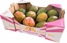 Kent Mango Box