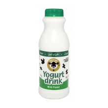 Mint Yogurt Drink Karoun 16 Oz