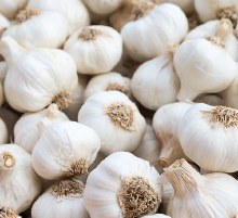 Organic Garlic California 1 Lb