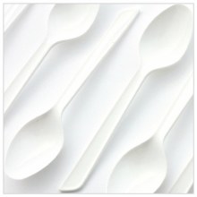 Plastic Disposable Spoon 100ct