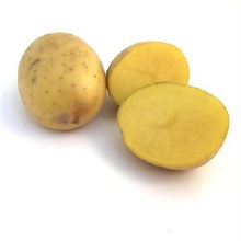 Yukon B Potatoes Sold By Weight
