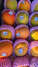 Marathon Premium Mango