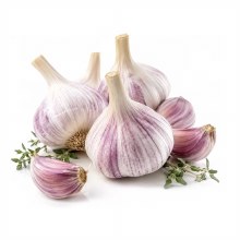 Organic Desi Garlic 1 Lb