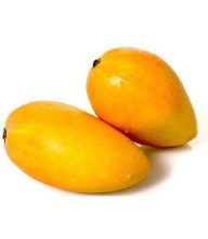 Single Dominican Mango