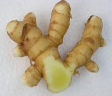 Turmeric White / Mango Ginger