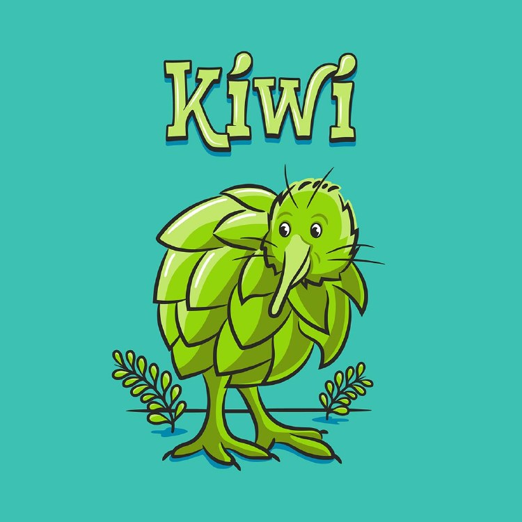 LAWSONS KIWI FOUR PACK