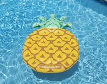 PINEAPPLE FLOAT