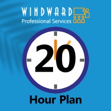 20 Hours of Professional Service Time