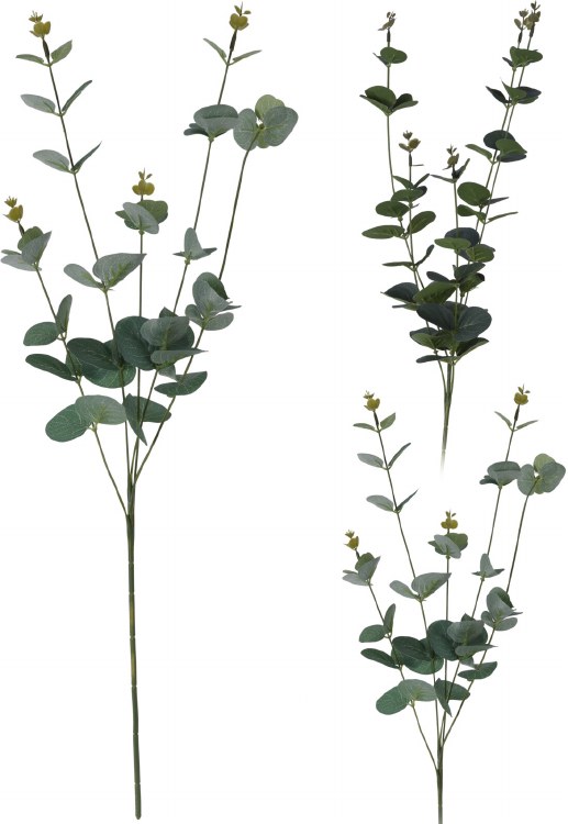 FLORAL LEAF BRANCH