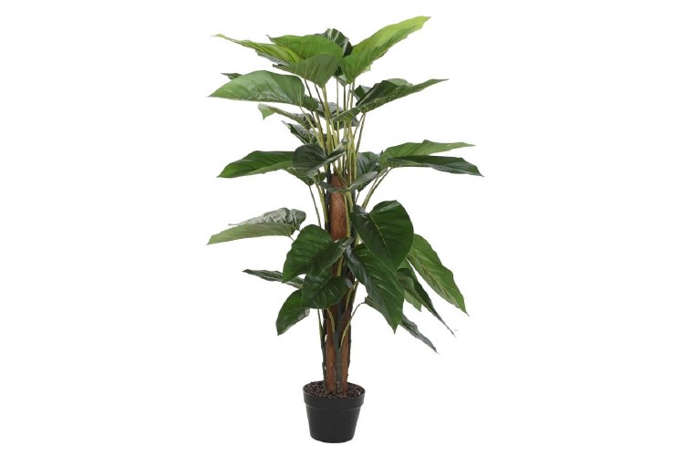 FIBER GREEN PLANT