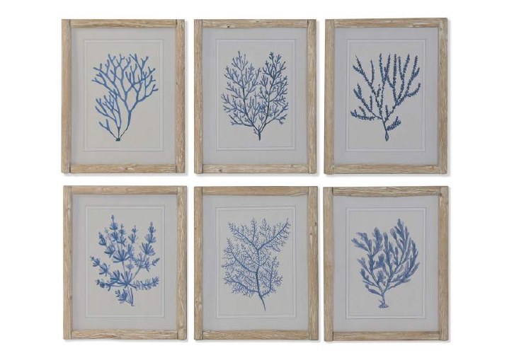 CORAL WALL ART