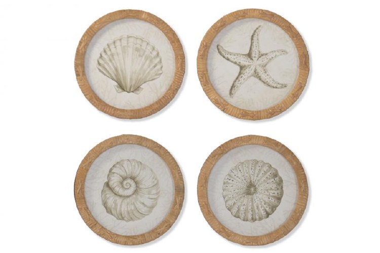ROUND SHELL WALL ART