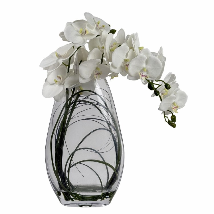 ORCHID PLANT IN GLASS VASE