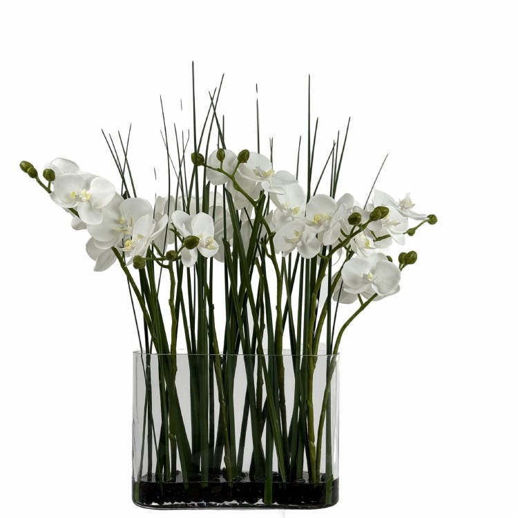 ORCHID PLANT IN FLAT GLASS VASE