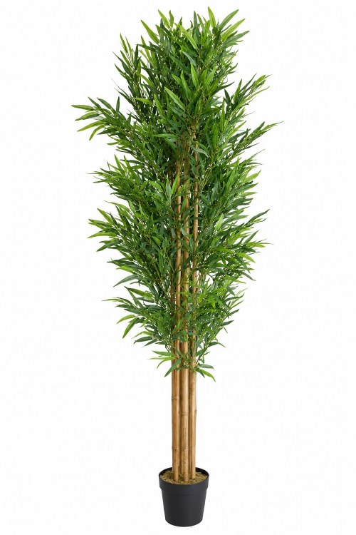 BAMBOO TREE-7FT
