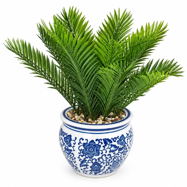 FERN IN BLUE & WHITE POT