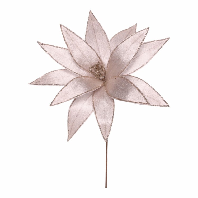 PINK POINSETTIA