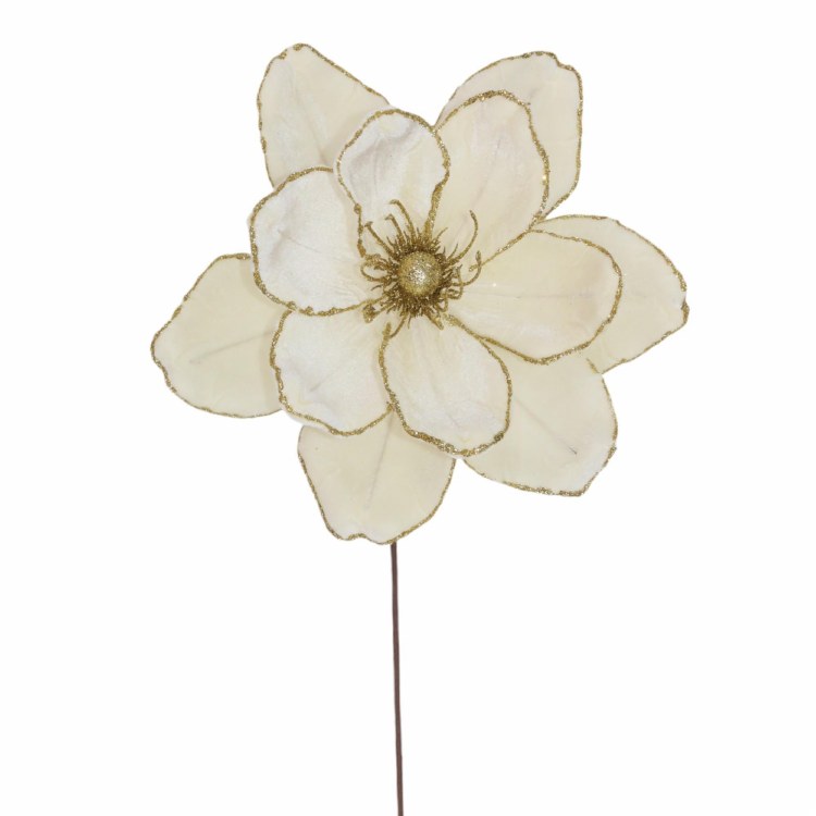 MAGNOLIA WHITE STEM