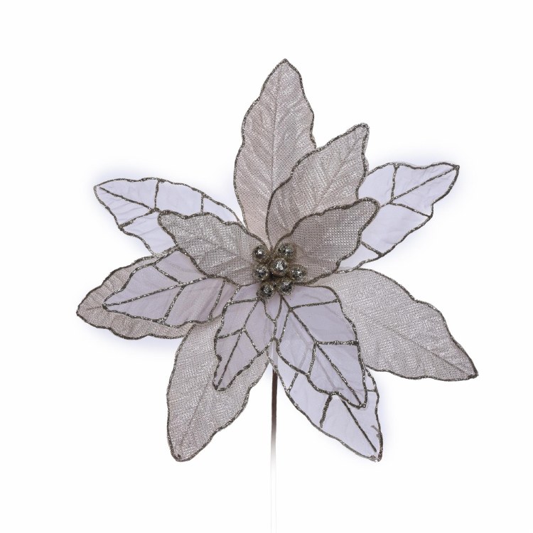 POINSETTIA STEM