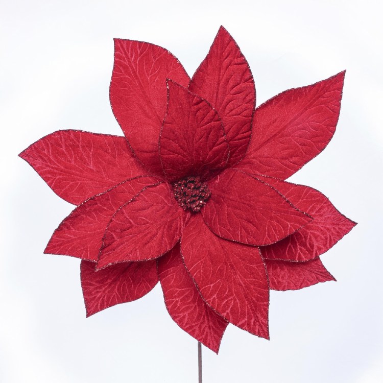 RED GIANT POINSETTIA STEM