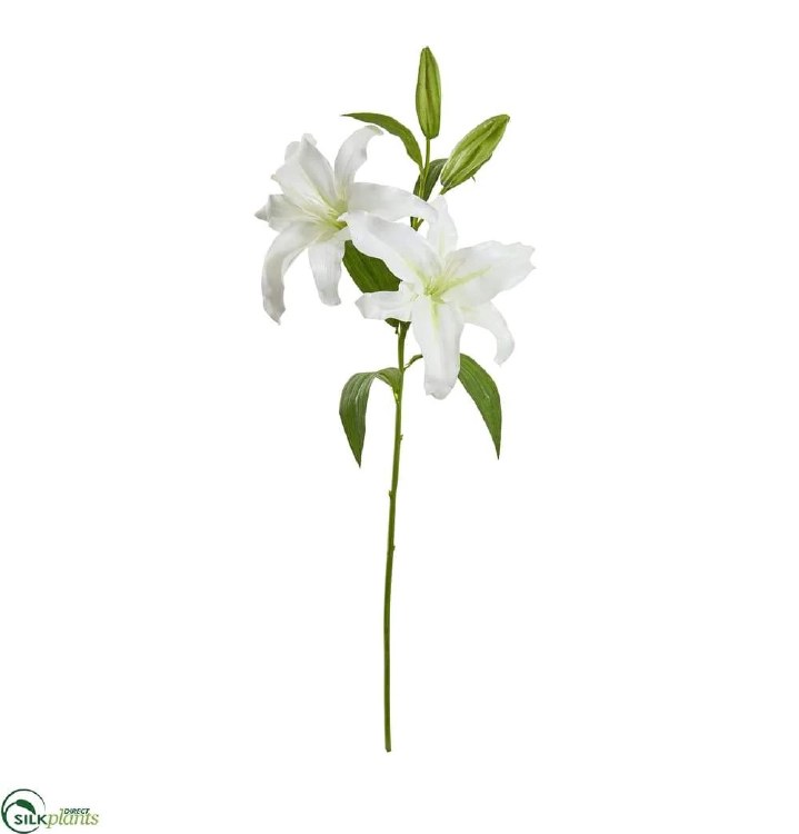 EVA LILY STEM-WHITE