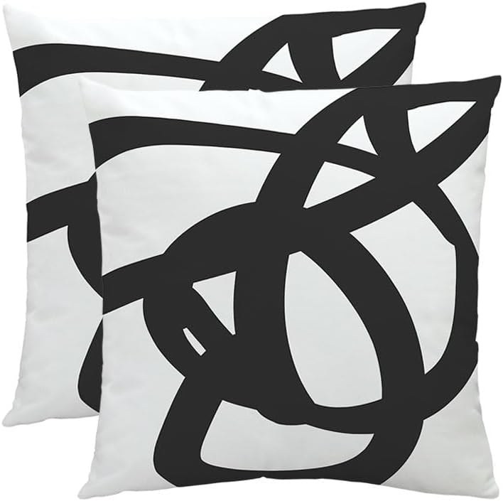 BLACK & WHITE CUSHION