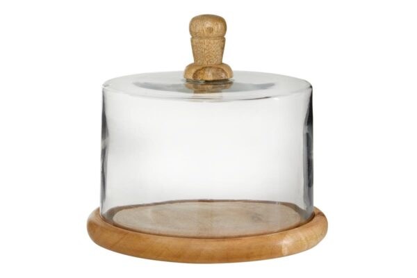 GLASS DOME W/WOOD BASE-SMALL