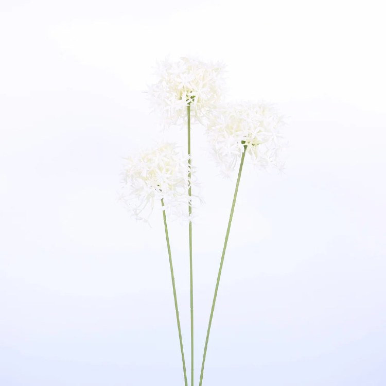 WHITE ALLIUM SPRAY