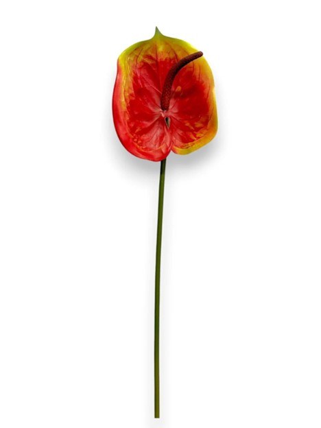 ANTHURIUM YELLLOW STEM