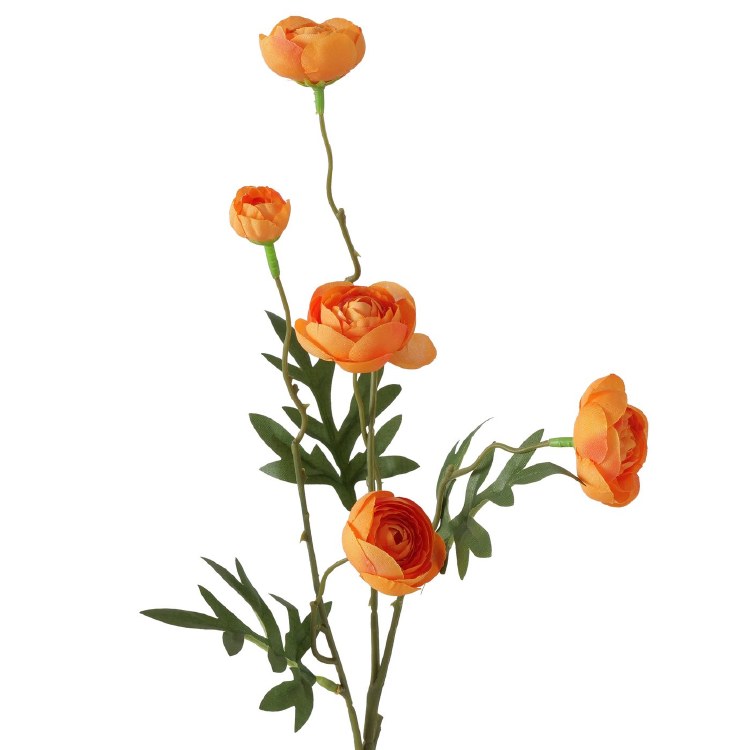 BUTTERCUP FLOWER STEM