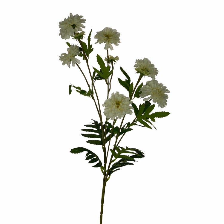 COCO ZINNIA FLOWER-WHT