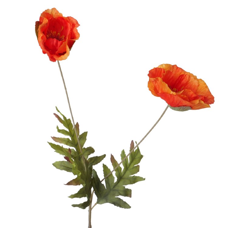 CORN POPPY - RED