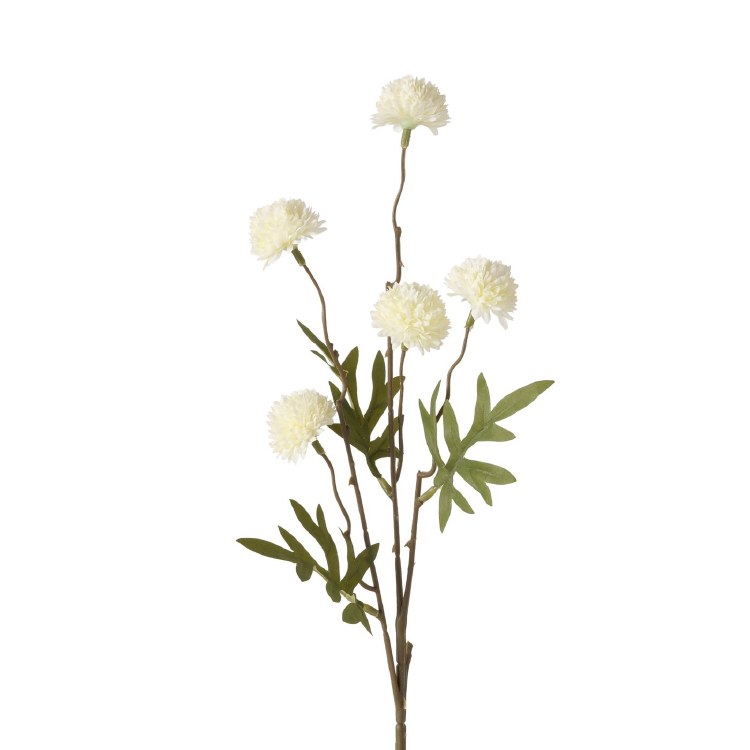 WHITE DAHLIA FLOWER