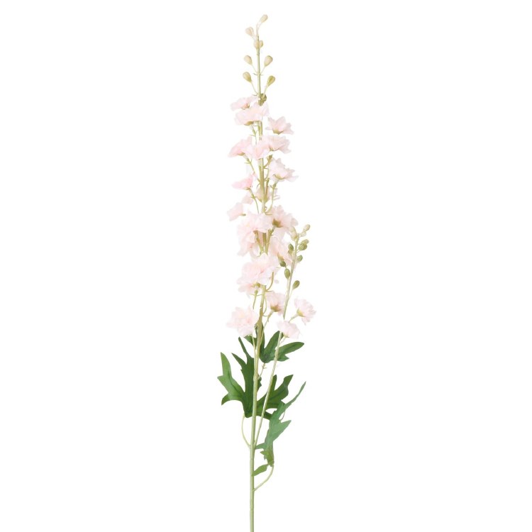 PINK DELPHINIUM FLOWER
