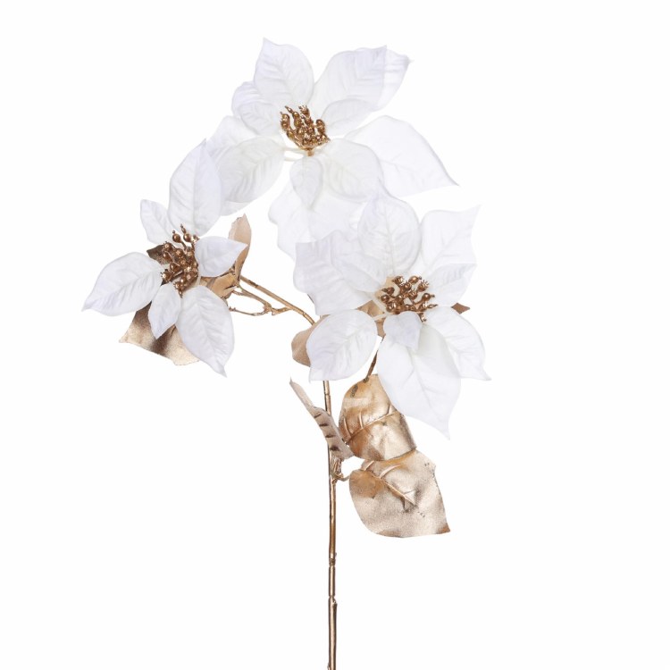 PONSETTIA  STEM WHT