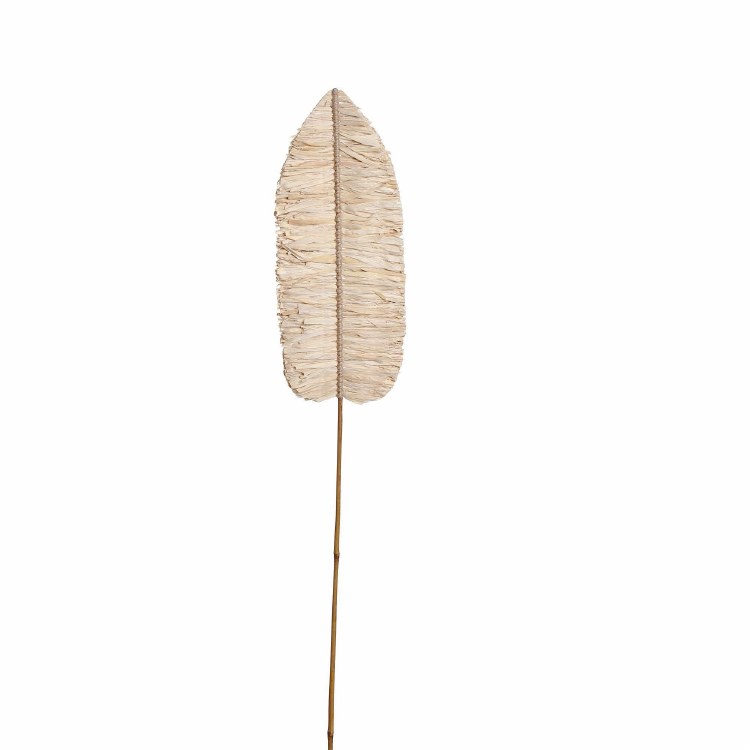 LEAF STEM- NATURAL