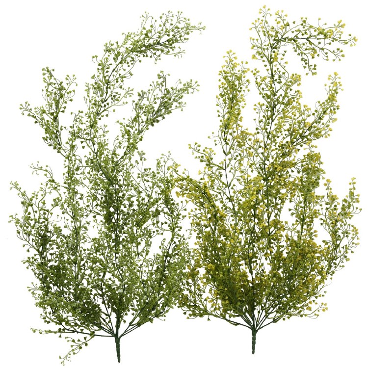 LEAFY BRANCH