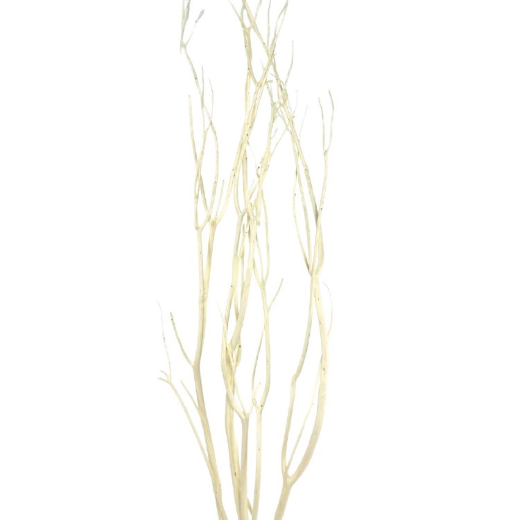 MITSUMATA  TWIG BRANCH- BLEACHED