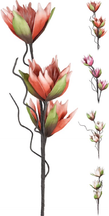 PROTEA FLORAL BRANCH