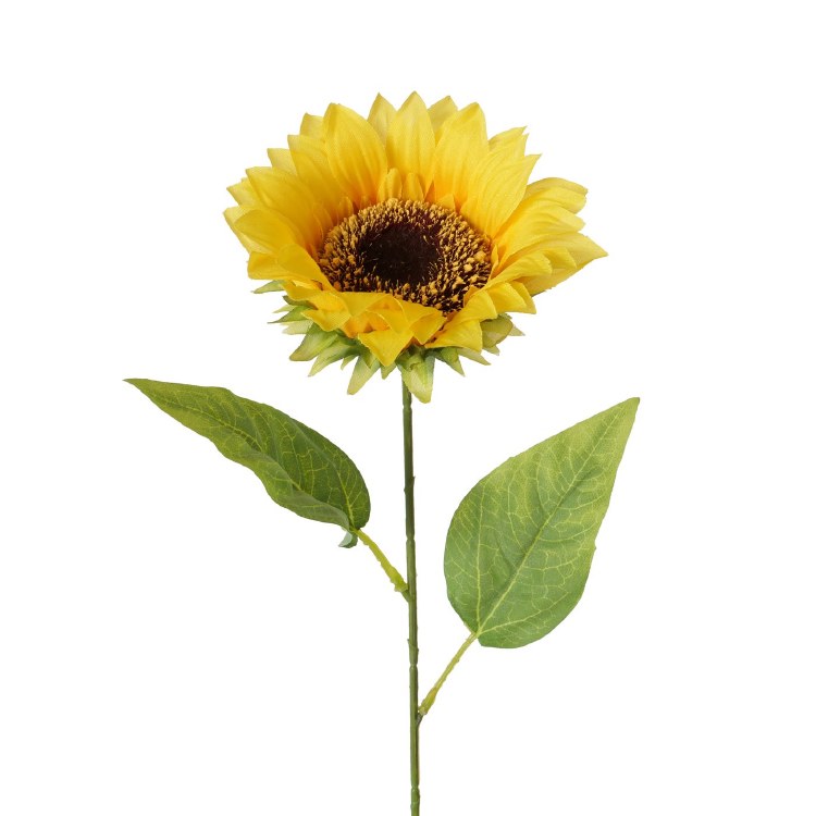 SUNFLOWER FLOWER