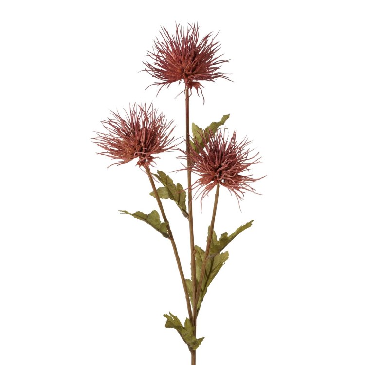 THISTEL FLOWER BRANCH