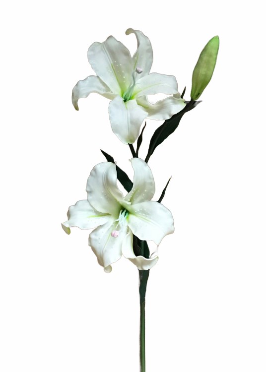 TIGER LILY SPRAY-WHITE