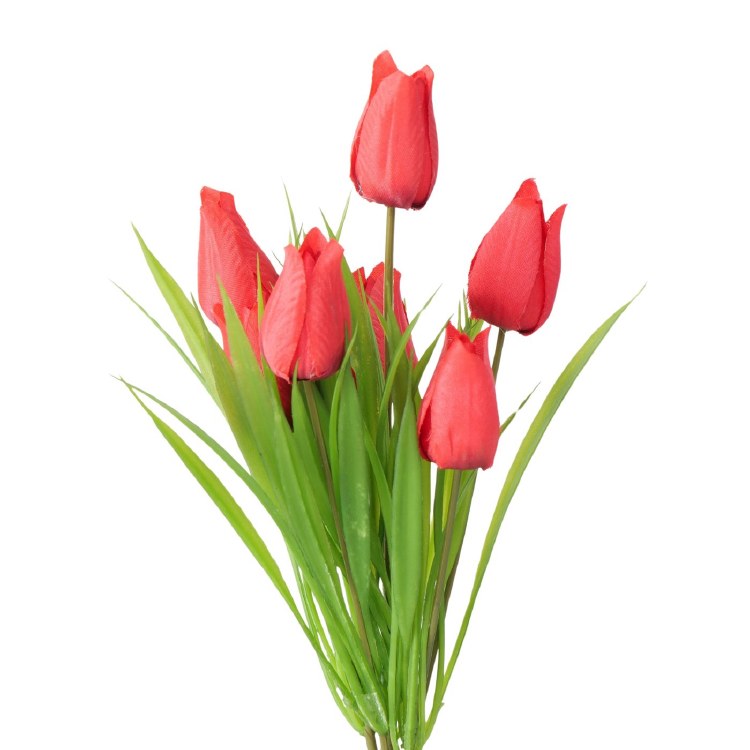 RED TULIP FLOWERS